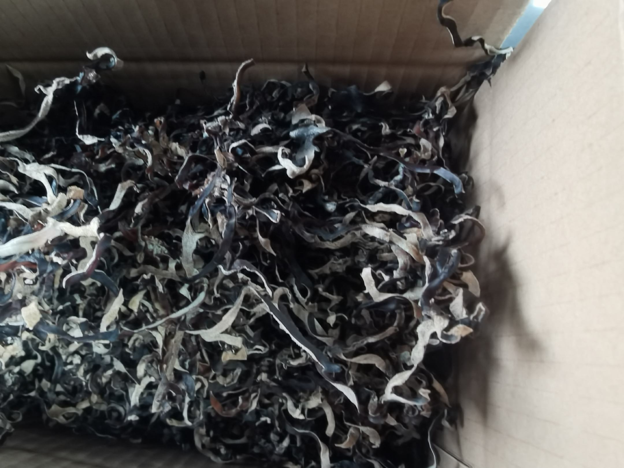 毛木耳饺子包制过程图