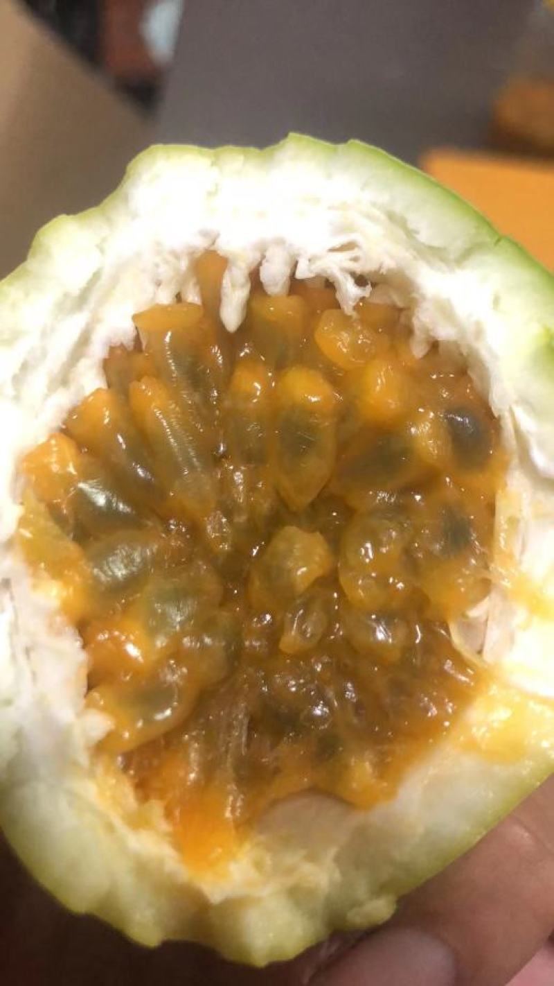 海南钦蜜九号黄金百香果
