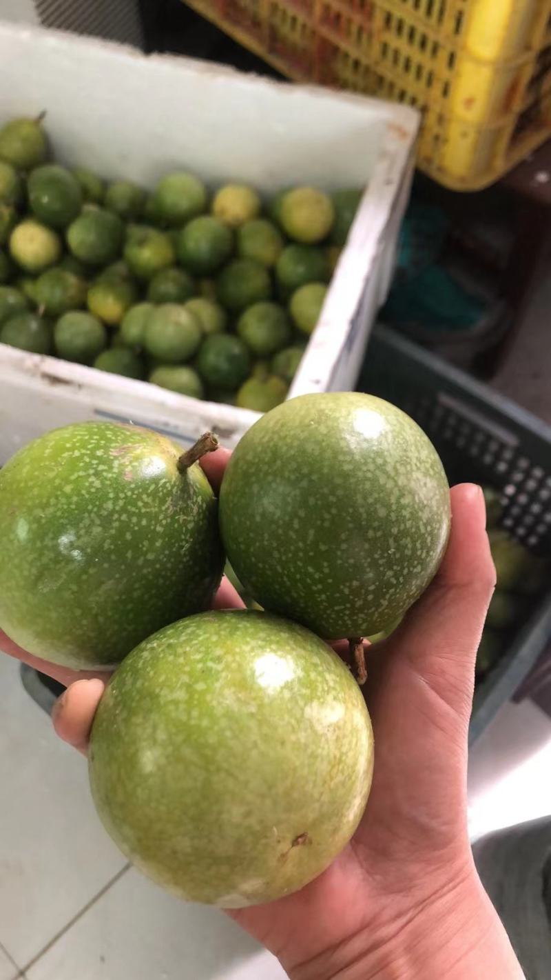 海南钦蜜九号黄金百香果