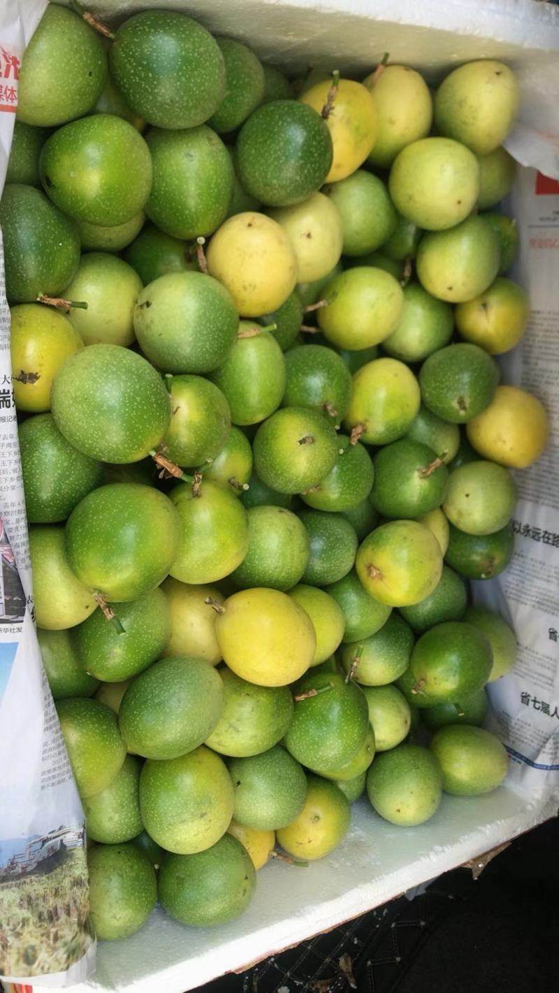 海南钦蜜九号黄金百香果