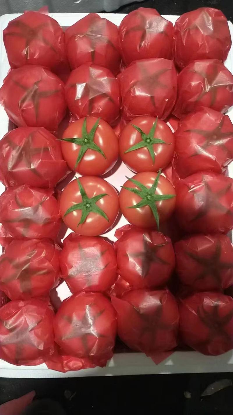 硬粉西红柿，量大，果型好，有亮度，个头大小均匀。