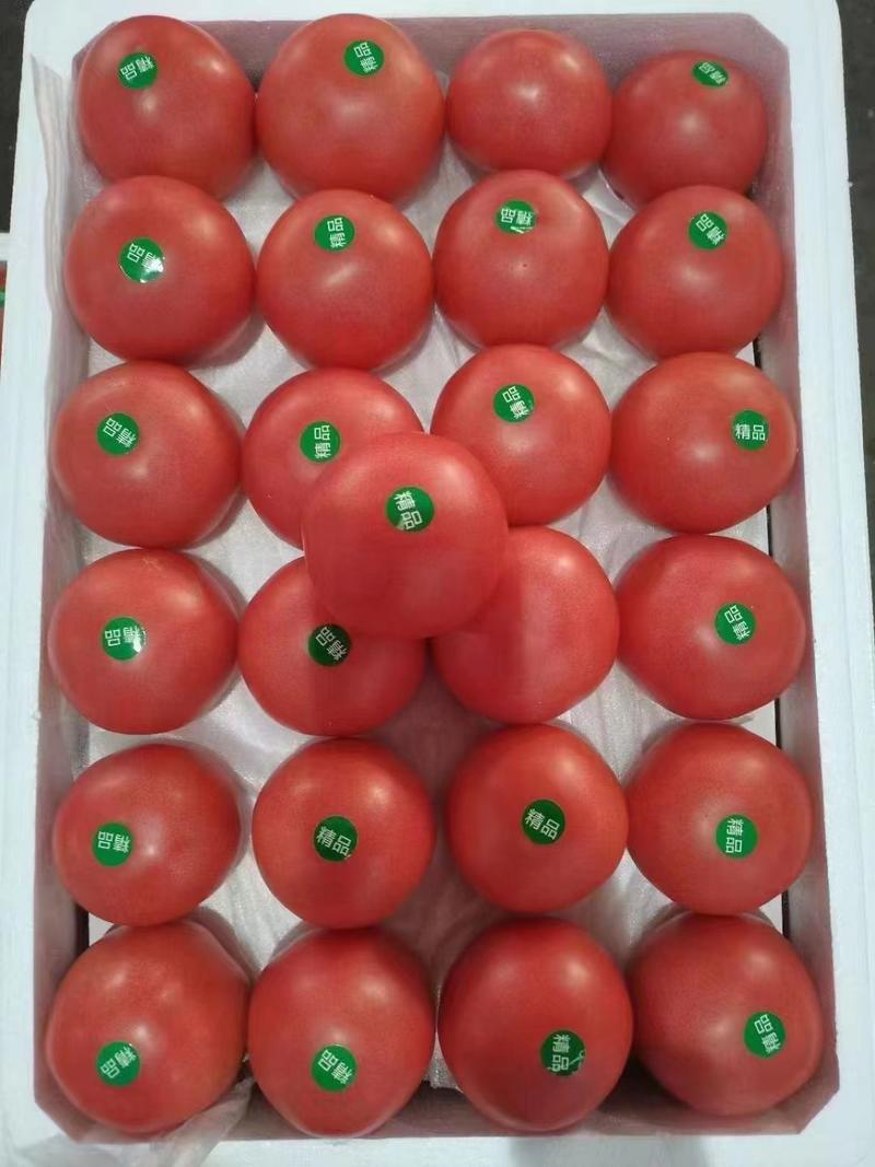 硬粉西红柿，量大，果型好，有亮度，个头大小均匀。