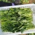 精品菠菜，，叶大色绿，耐运输，短根长跟都可预订，