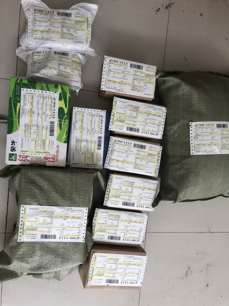 牛夕牛膝种子包发芽产地直销提供种植技术欢迎选购