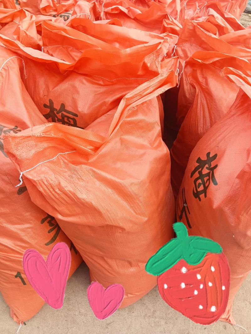 梅干菜