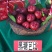 黑糖芭比莲雾嫁接果苗1-8公分粗的莲雾嫁接苗批发