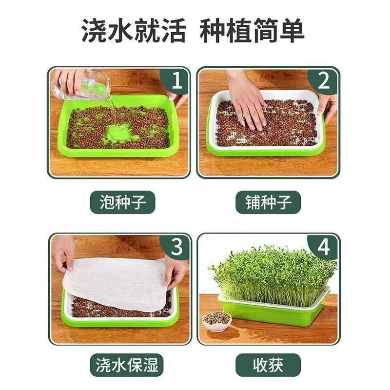 豆芽发芽盆神器家用育苗盘芽苗菜阳台种植蔬菜种菜专用盆种菜
