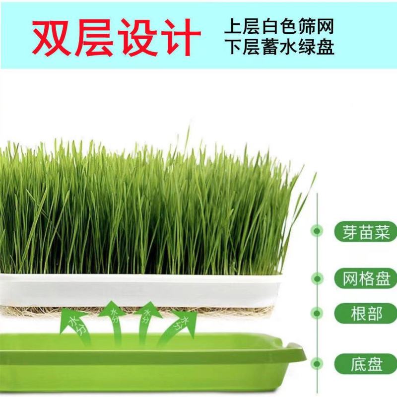 豆芽发芽盆神器家用育苗盘芽苗菜阳台种植蔬菜种菜专用盆种菜