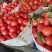 精品大粉沙沙甜甜…