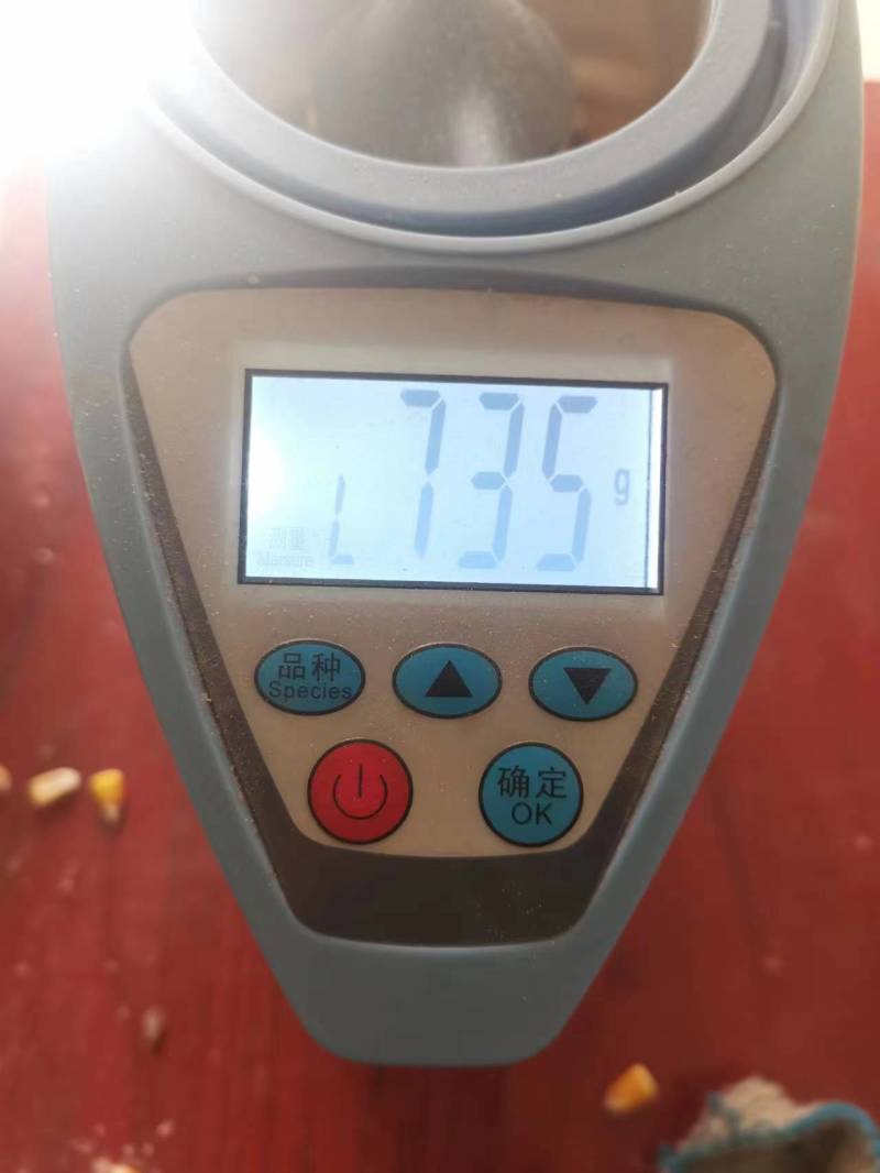 100万斤玉米
