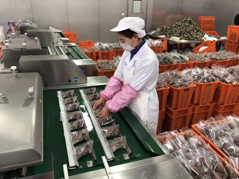 嘉兴粽子厂家/支持批发/定制/代加工/一件代发/可验厂