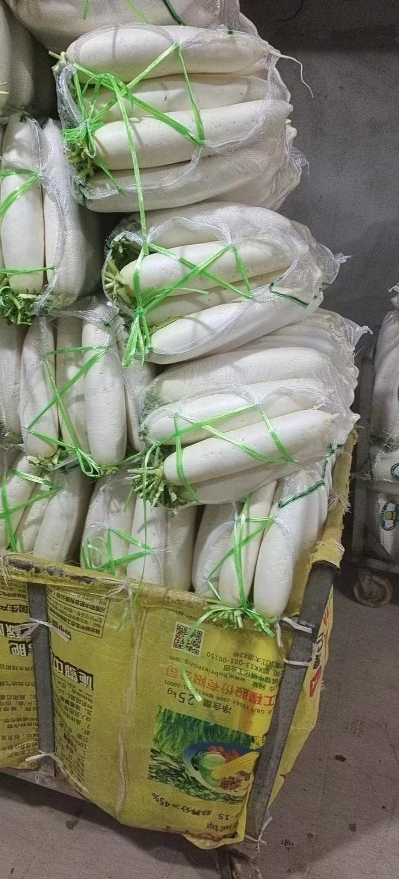 【实力供货】白萝卜大量出货对接市场商超电商团购加工厂