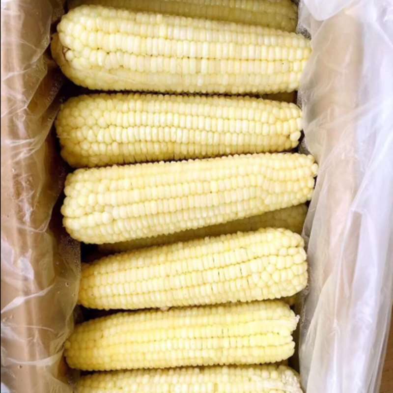 速冻甜糯玉米，货源充足，供货稳定！可视频看货！