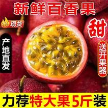 【包邮24小时内发货】百香果新鲜大果紫色百香果当季水果