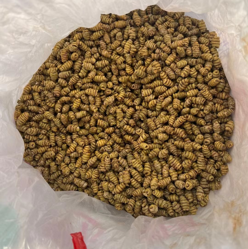 【铁皮石斛】满满的胶质，正宗铁皮石斛，量大从优。