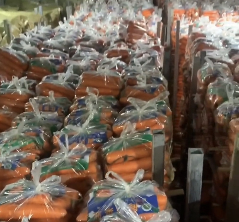 家庭厨房场景中的胡萝卜储存方法示意图