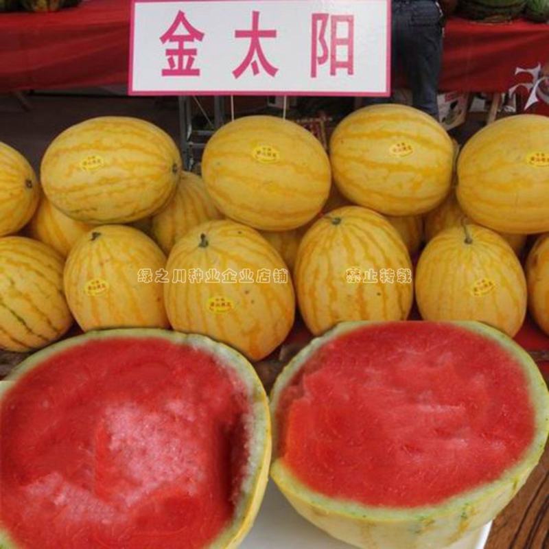 丰乐金太阳无籽1号西瓜种子金黄皮鲜红瓤礼品瓜种子杂交一代