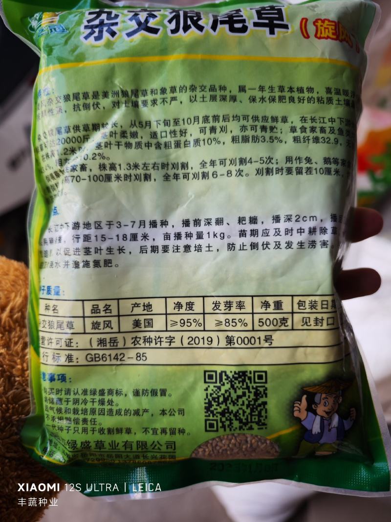 杂交狼尾草种子，500克