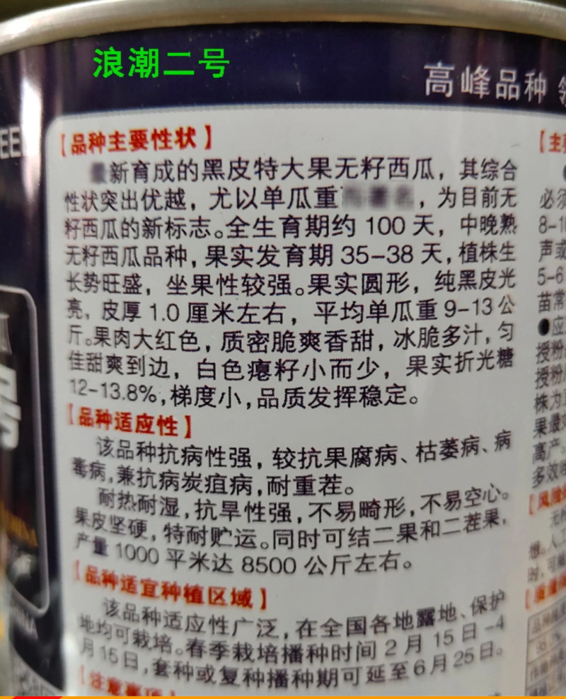 浪潮二号黑皮无籽西瓜种子大果中晚熟亩产8500公斤薄皮
