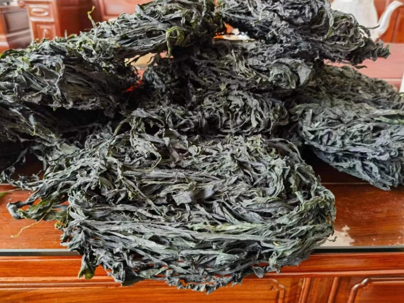 山东日照裙带菜，货量大货品优，欢迎采购