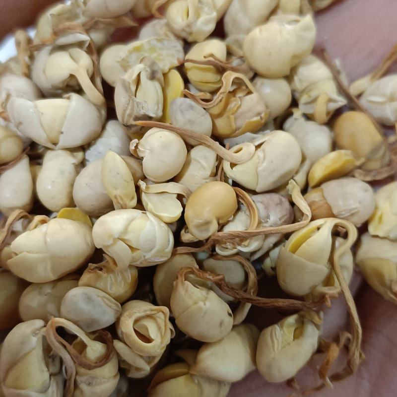 大豆黄卷，保质保量，无硫不加色增重，欢迎各位老板去下单