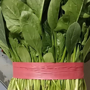 河北邯郸蔬菜产地和外地菜的中转站