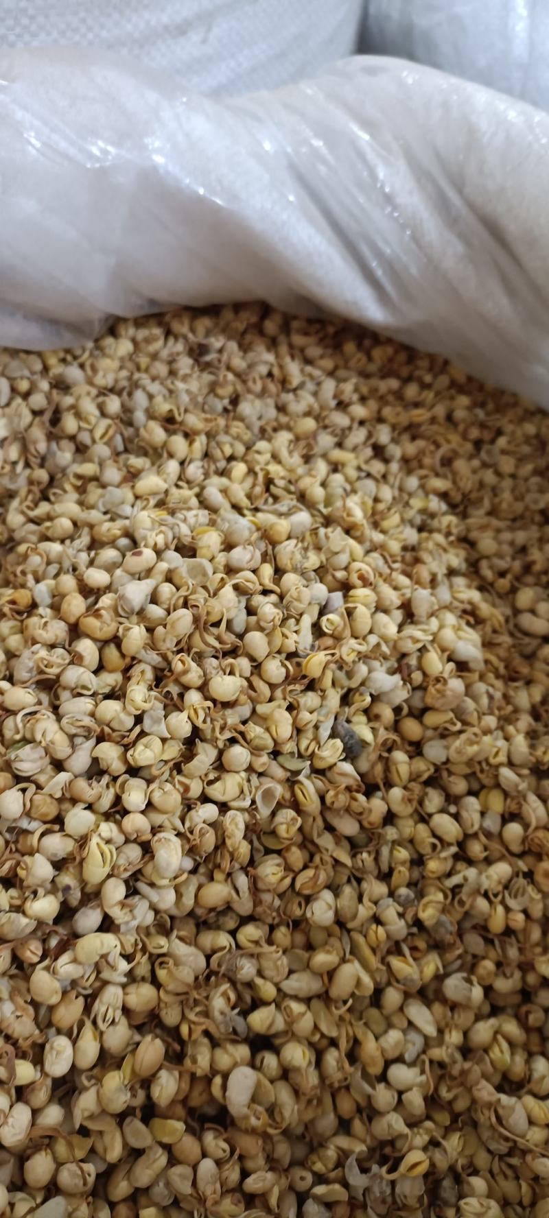 大豆黄卷，保质保量，无硫不加色增重，欢迎各位老板去下单