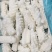 目鱼花鱿鱼花整花有冰衣4斤装今年新货量大从优