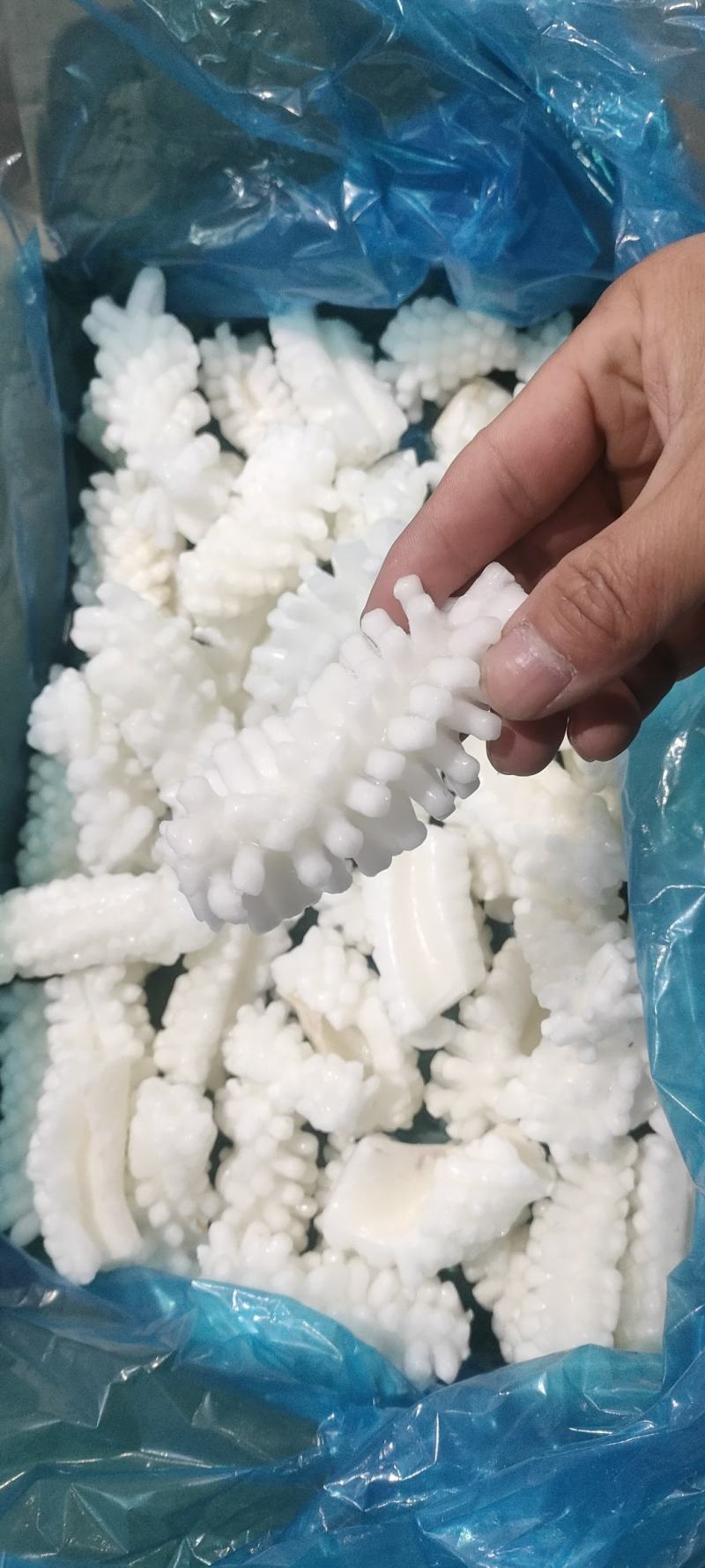 目鱼花鱿鱼花整花有冰衣4斤装今年新货量大从优