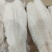 巴沙鱼巴沙鱼柳鱼肉单冻5片*4包量大从优今年新