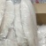 巴沙鱼巴沙鱼柳鱼肉单冻5片*4包量大从优今年新