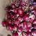 红皮紫皮精品洋葱山东洋葱一手货源产地发货价格低