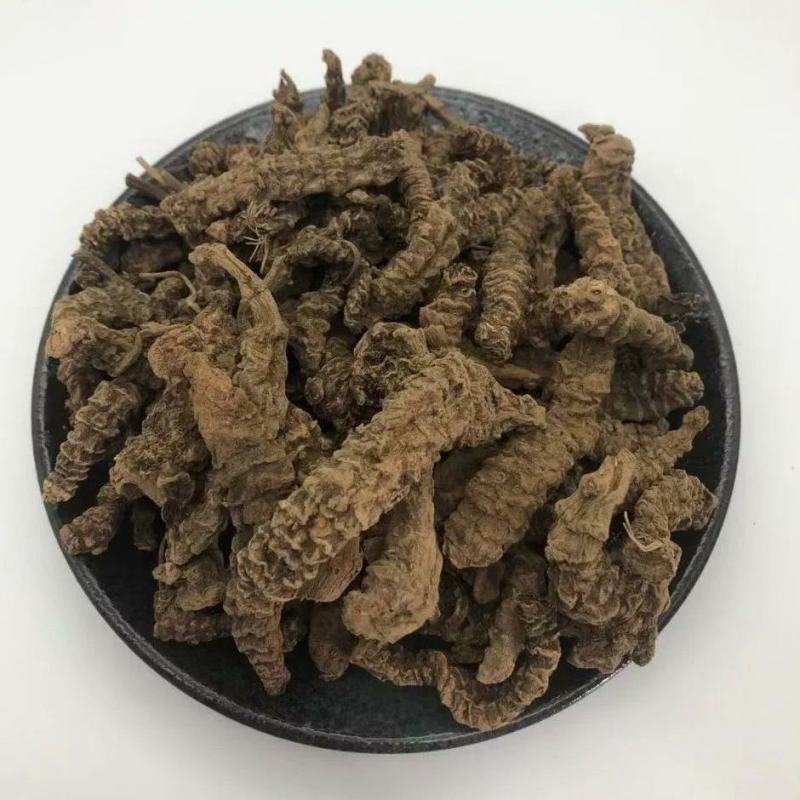 蜘蛛香干货蜘蛛香中药材欢迎选购！