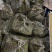 新鲜蕨菜大量批发供应