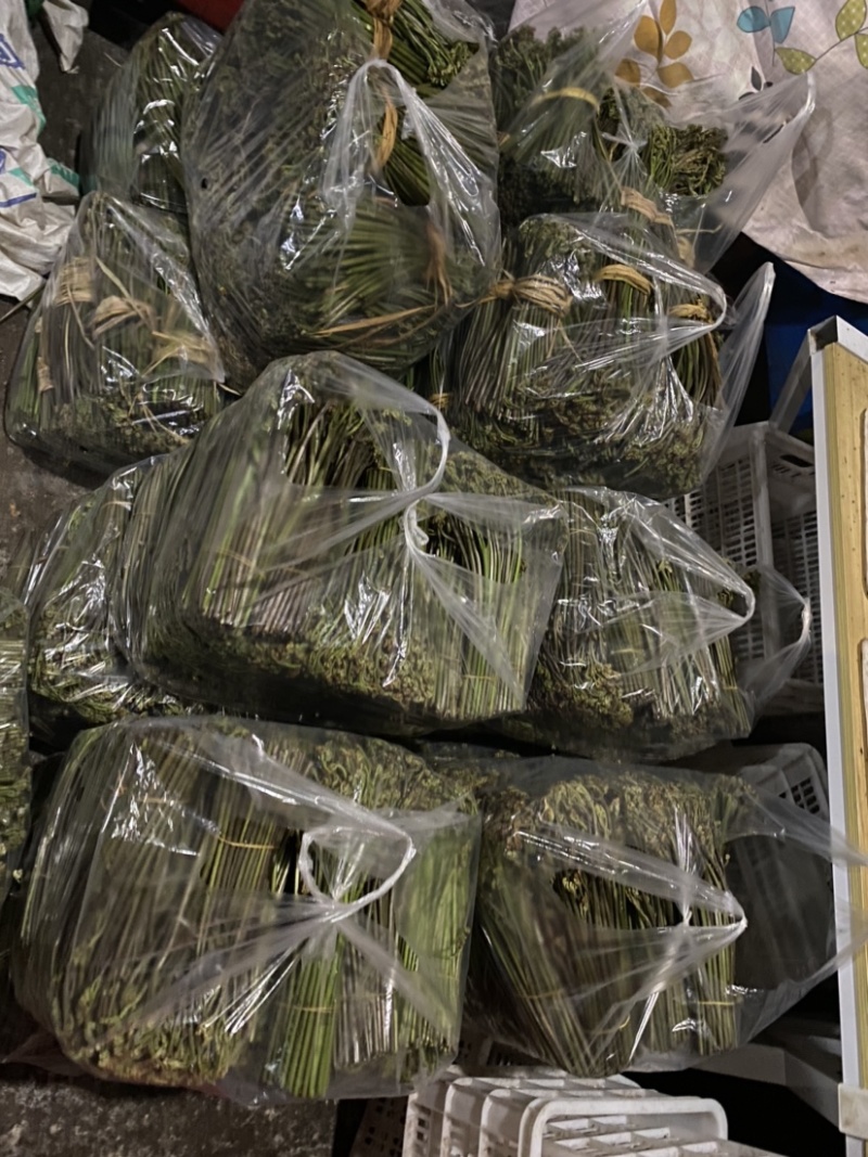 新鲜蕨菜大量批发供应