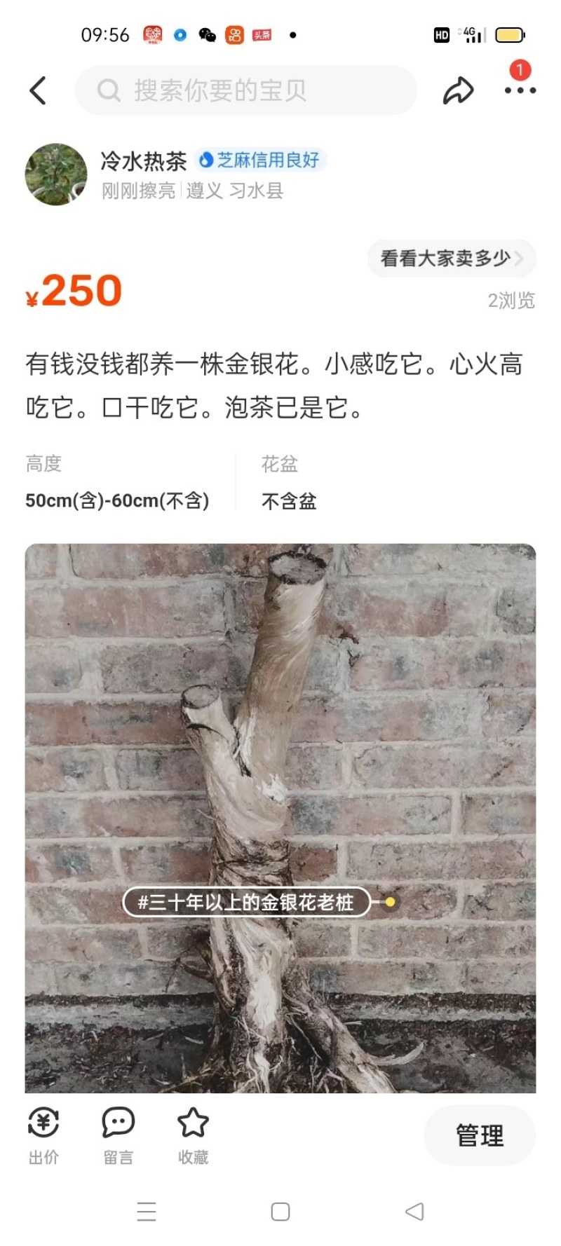 金银花下山桩