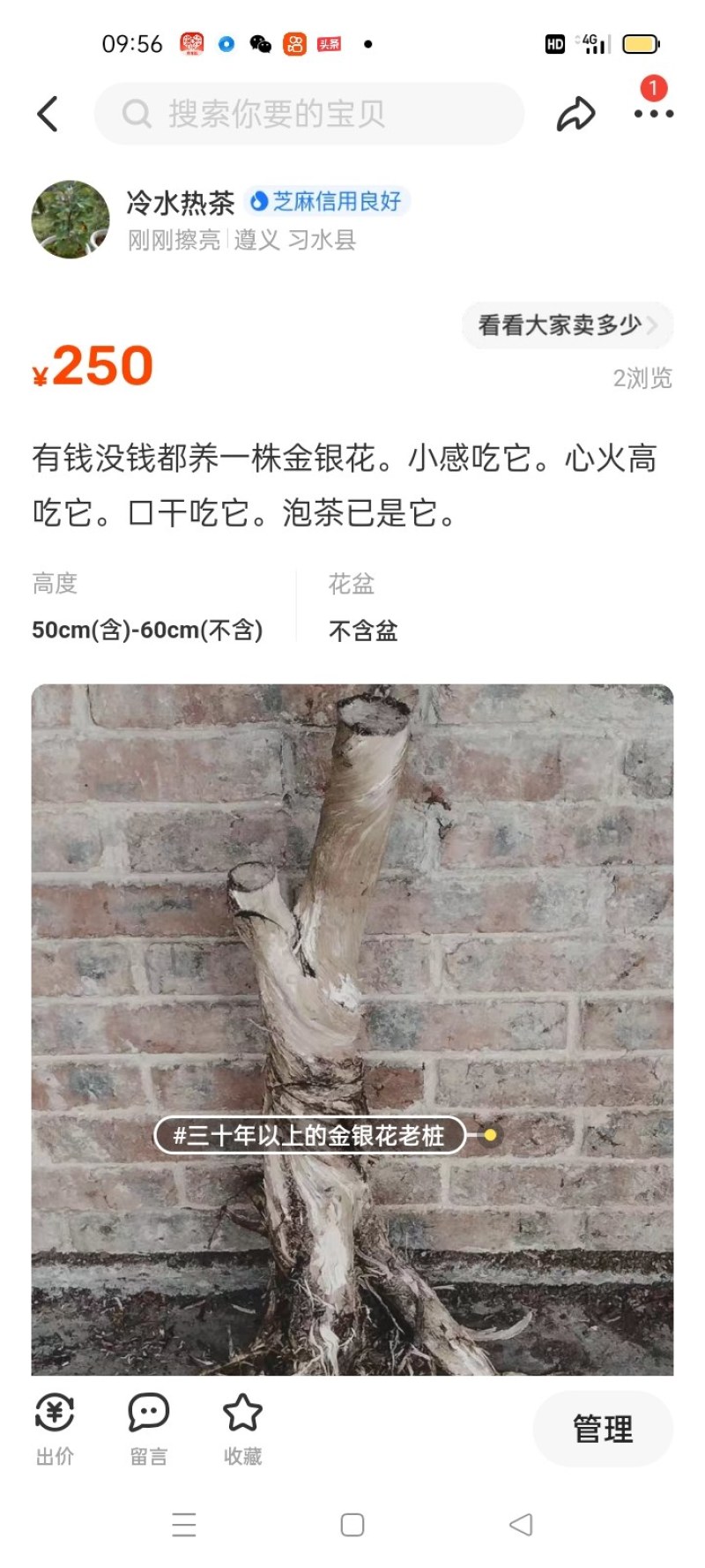 金银花下山桩