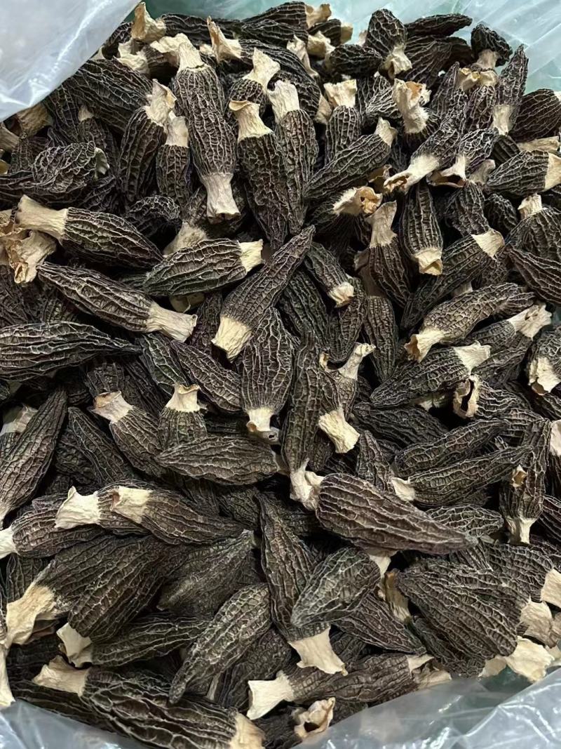 羊肚菌干货批发【1斤起发】头茬新货剪柄剪脚各种规格齐全