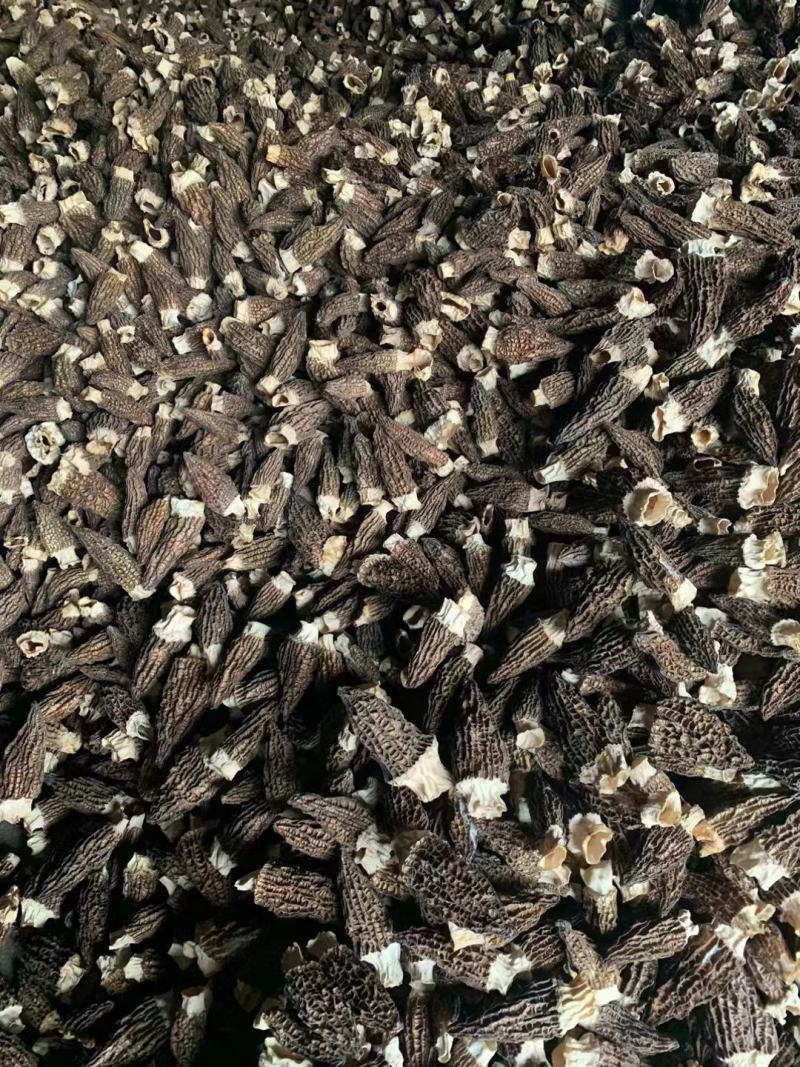 羊肚菌干货批发【1斤起发】头茬新货剪柄剪脚各种规格齐全