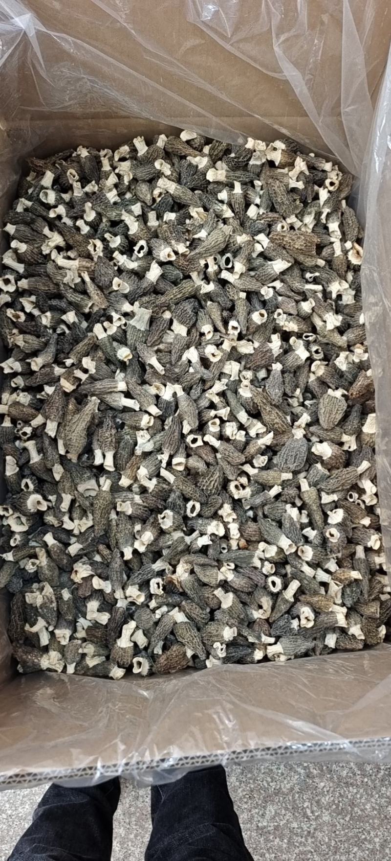 羊肚菌干货批发【1斤起发】头茬新货剪柄剪脚各种规格齐全
