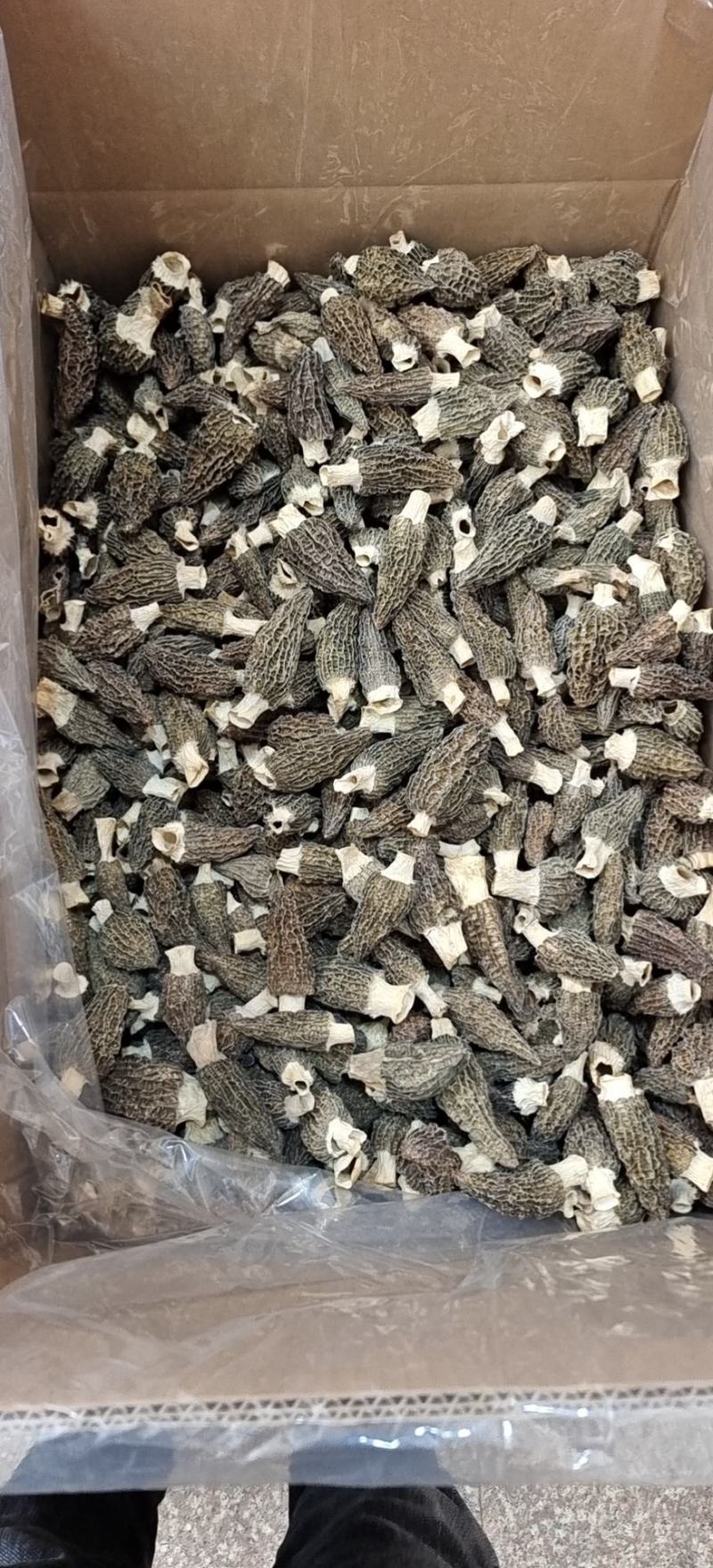 羊肚菌干货批发【1斤起发】头茬新货剪柄剪脚各种规格齐全