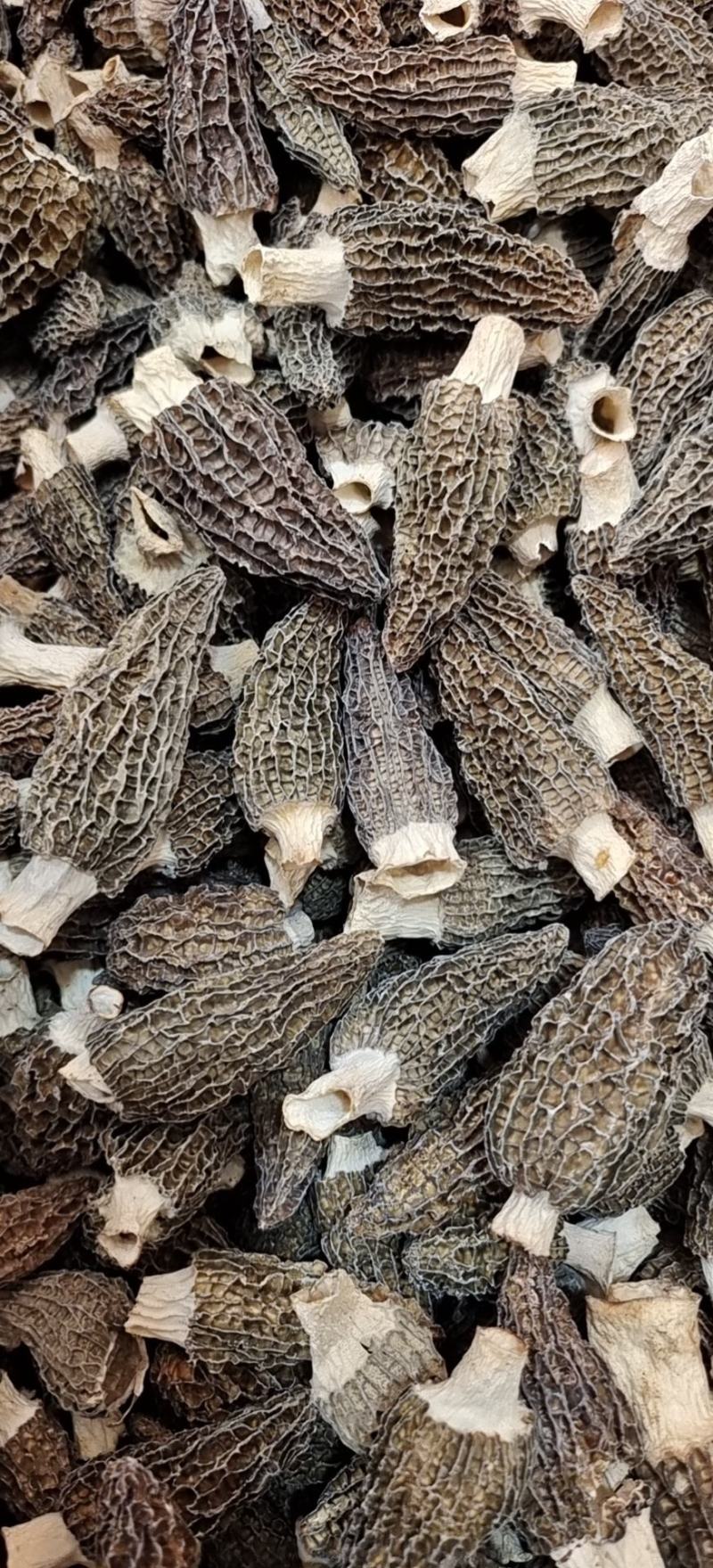 羊肚菌干货批发【1斤起发】头茬新货剪柄剪脚各种规格齐全
