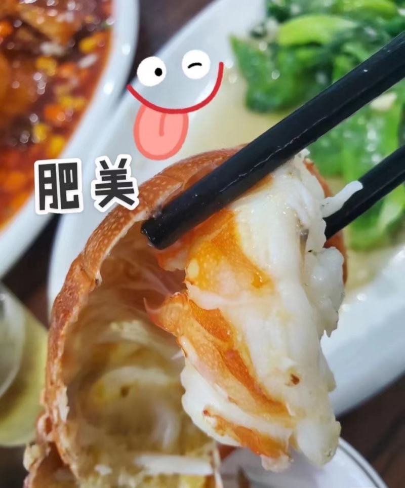 小青龙