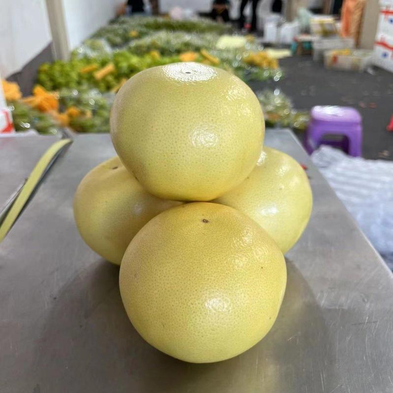 【优选商家】福建爆汁葡萄柚产地直发物美价廉可视频看货