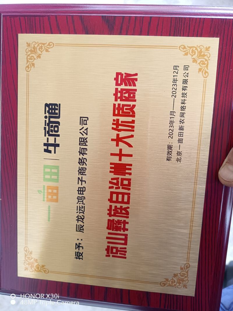 盐源早1号大优核桃青皮核桃鲜核桃一手货源产地直发