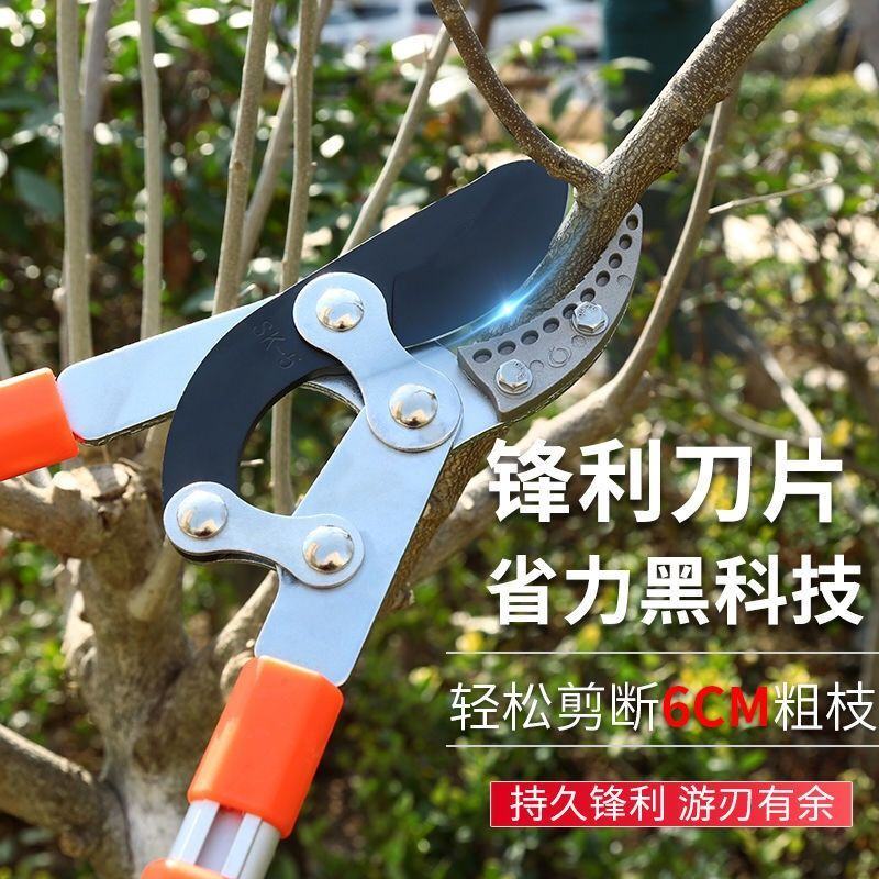 修剪树枝园林果树剪刀修枝剪高粗枝剪大力剪省力伸缩园艺工具