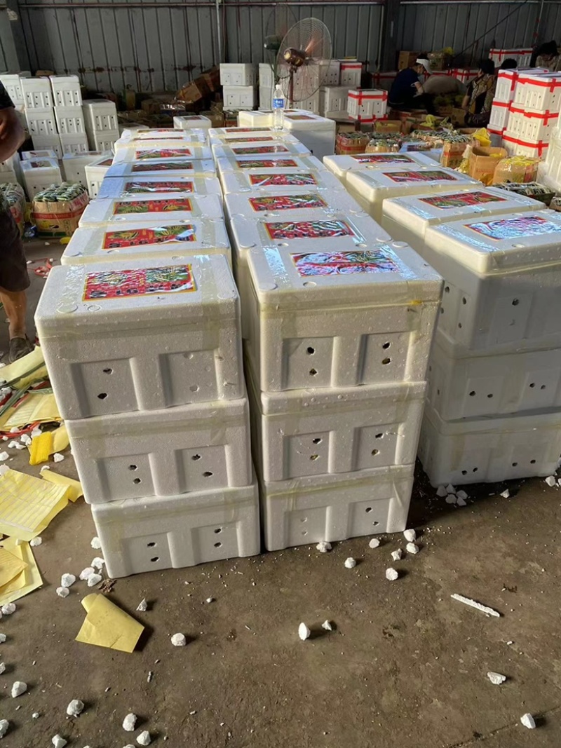 河北青县精品花蕾甜瓜羊角蜜等欢迎全国客户联系