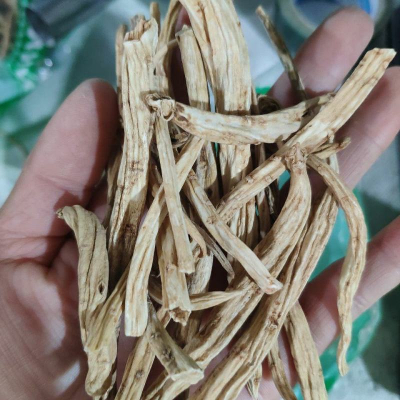 金铁锁干货金铁锁独定子中药材欢迎选购！