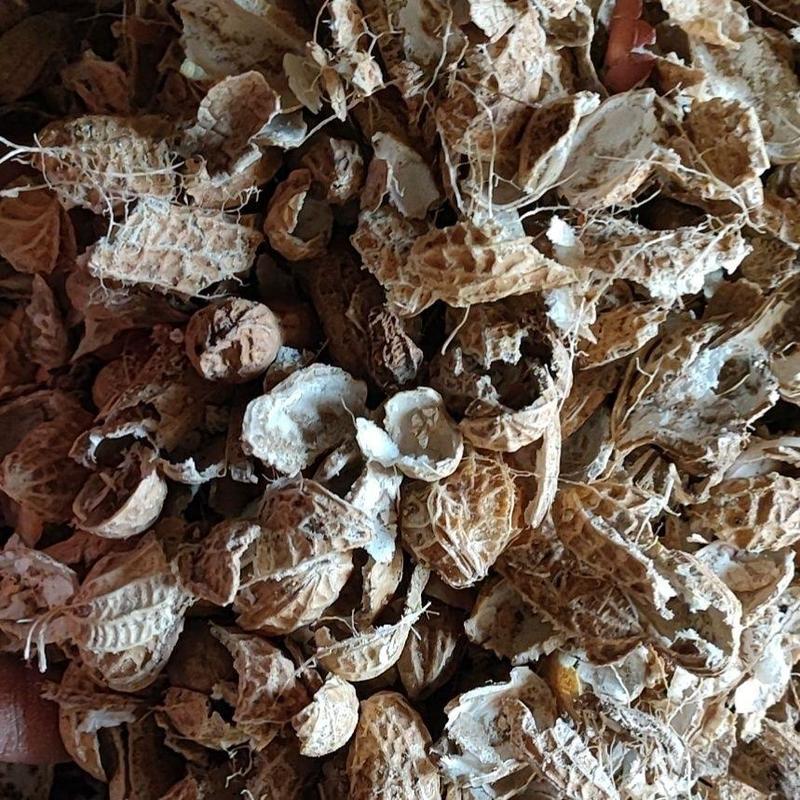 花生壳皮供应栽培基质花生壳兰花植料用花生皮水过虑用花生壳