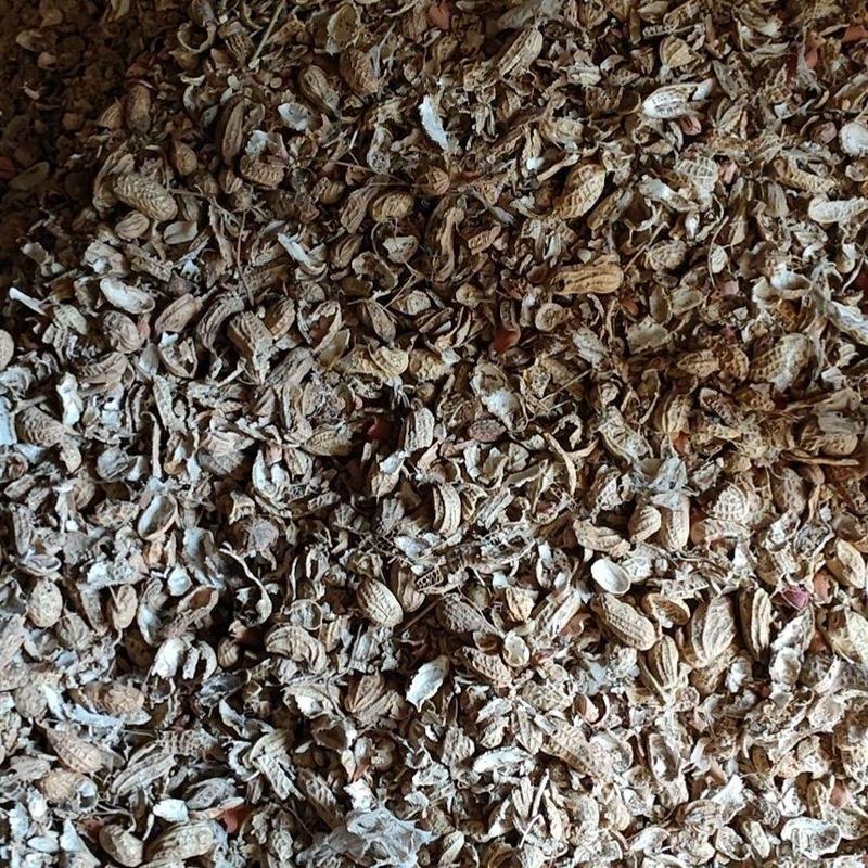 花生壳皮供应栽培基质花生壳兰花植料用花生皮水过虑用花生壳